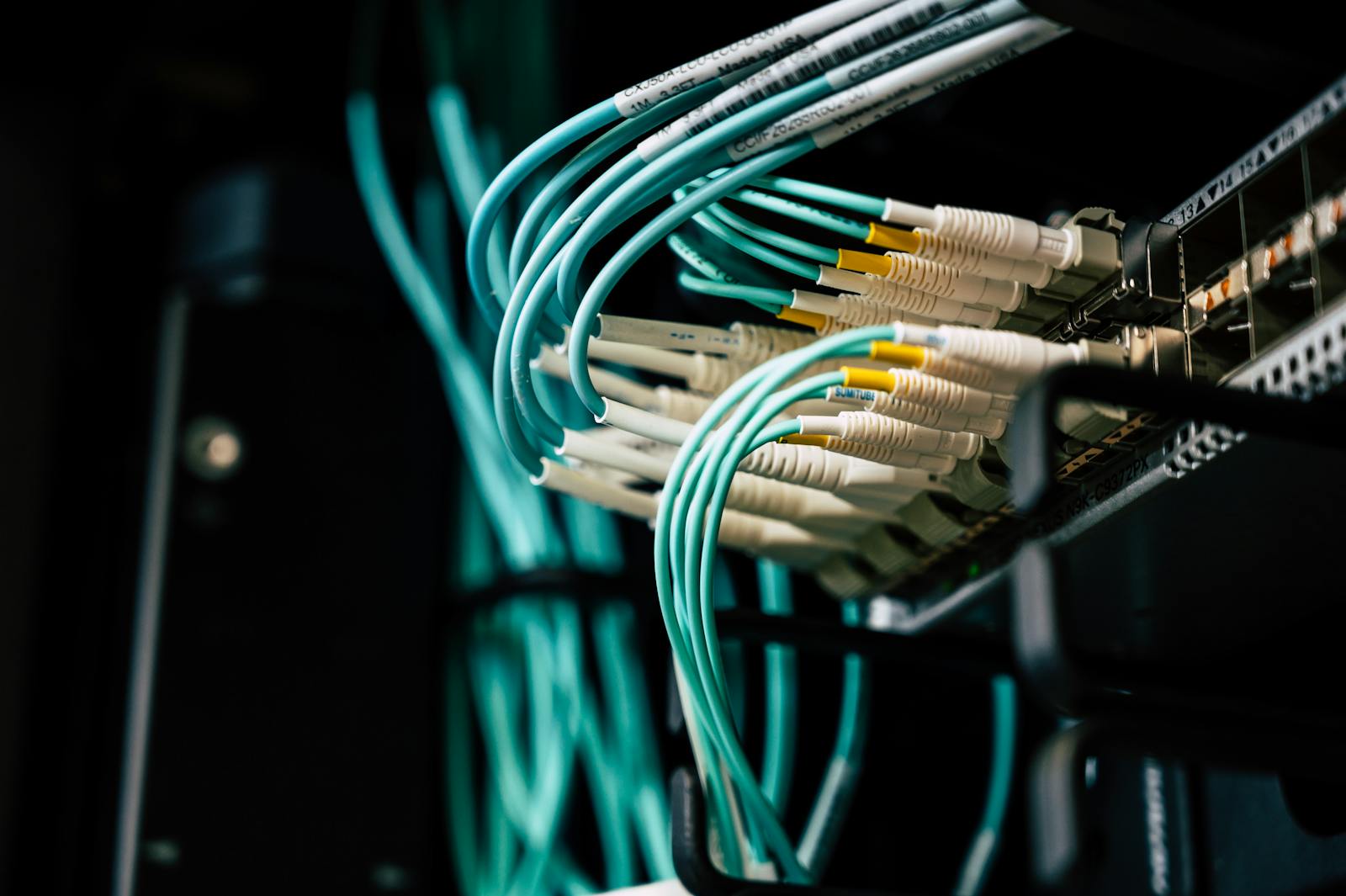 Server and cabling installation in a professional network environment